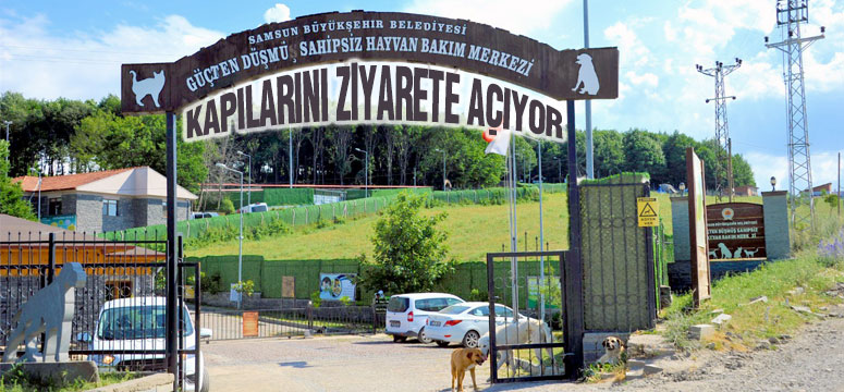 Samsun Büyükşehir Hayvan Bakımevi Kapılarını Ziyarete Açıyor