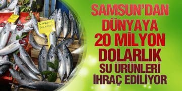 Samsun’da Su Ürünleri Denetimleri Devam Ediyor
