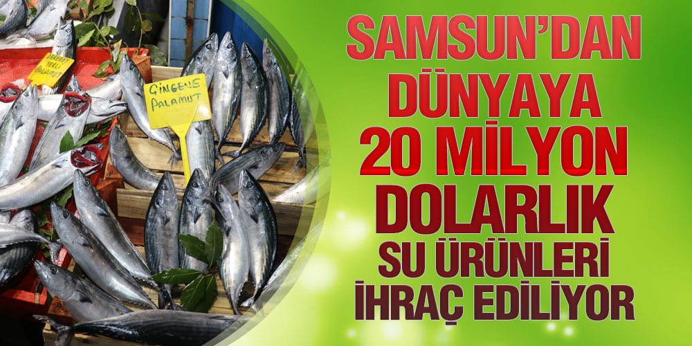 Samsun’da Su Ürünleri Denetimleri Devam Ediyor