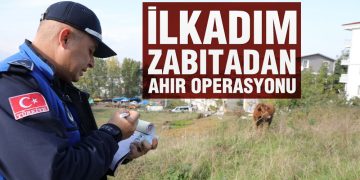 İlkadım Zabıtadan Ahır Operasyonu