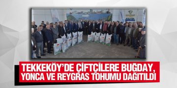 Tekkeköy’de Çiftçilere Buğday, Yonca Ve Reygras Tohumu Dağıtıldı