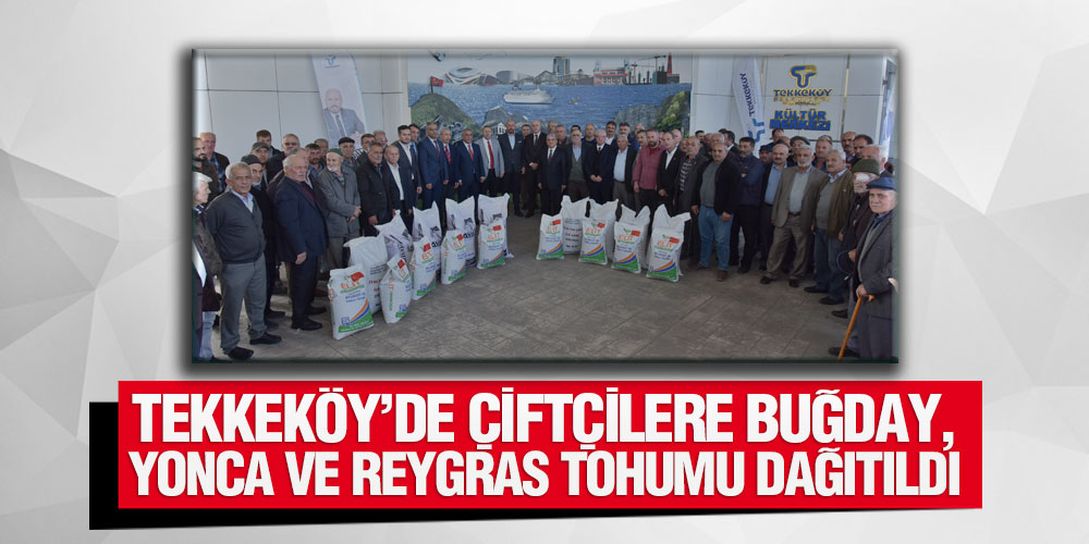 Tekkeköy’de Çiftçilere Buğday, Yonca Ve Reygras Tohumu Dağıtıldı