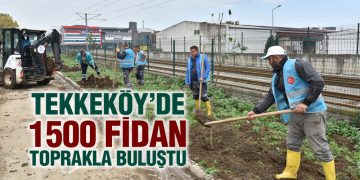 Tekkeköy’de 1500 Fidan Toprakla Buluştu