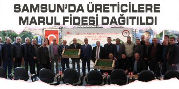 Samsun’da Üreticilere Marul Fidesi Dağıtıldı