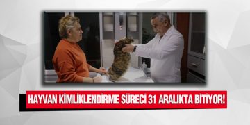 Hayvan Kimliklendirme Süreci 31 Aralıkta Bitiyor!