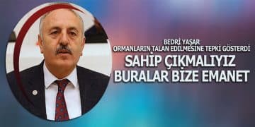 Yaşar, Ormanların talan edilmesine tepki gösterdi