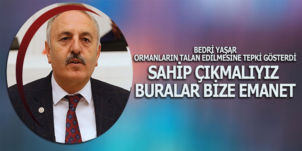 Yaşar, Ormanların talan edilmesine tepki gösterdi