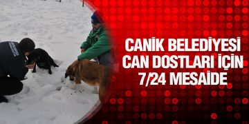 Canik Belediyesi Can Dostları İçin 7/24 Mesaide