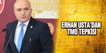 Usta’dan TMO’nun Fındık Satışına Başlamasına Tepki
