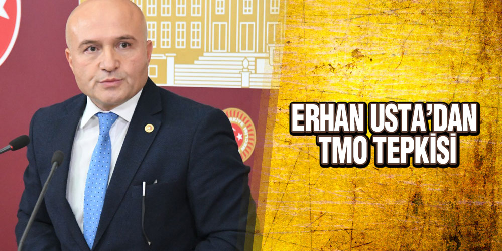 Usta’dan TMO’nun Fındık Satışına Başlamasına Tepki