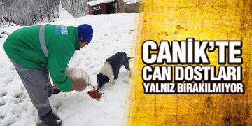 Canik’te Can Dostları Yalnız Bırakılmıyor