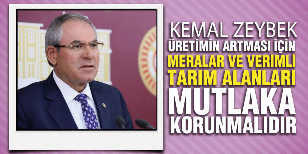 Zeybek, ‘Kenevir Ve Diğer Tarım Ürünlerine Yeterli Destekler Verilsin’