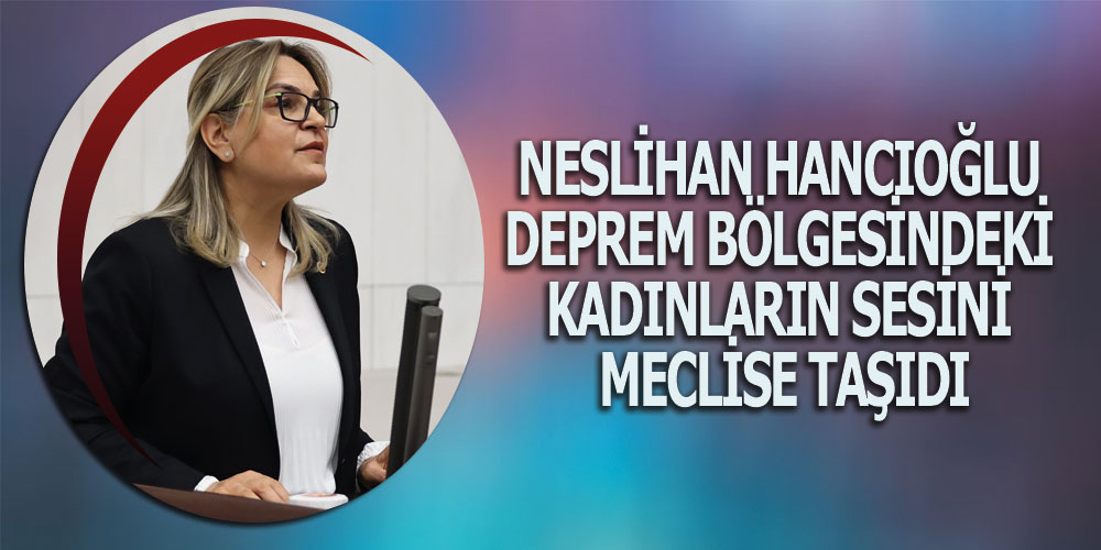 Hancıoğlu, deprem bölgesindeki kadınların sesini Meclise taşıdı