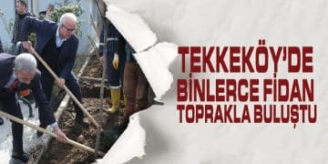 Tekkeköy’de Binlerce Fidan Toprakla Buluştu