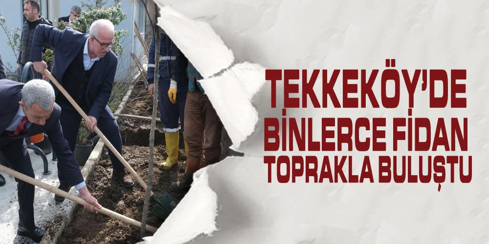 Tekkeköy’de Binlerce Fidan Toprakla Buluştu