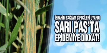 İbrahim Sağlam, ‘Sarı Pas’ta Epidemiye Dikkat!’