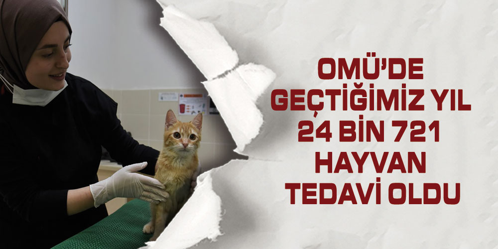 OMÜ Hayvan Hastanesi Tedavi Sayısıyla Bölgede Etkin Rol Oynuyor