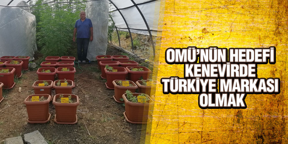 OMÜ’nün Hedefi; Kenevirde Türkiye Markası Olmak